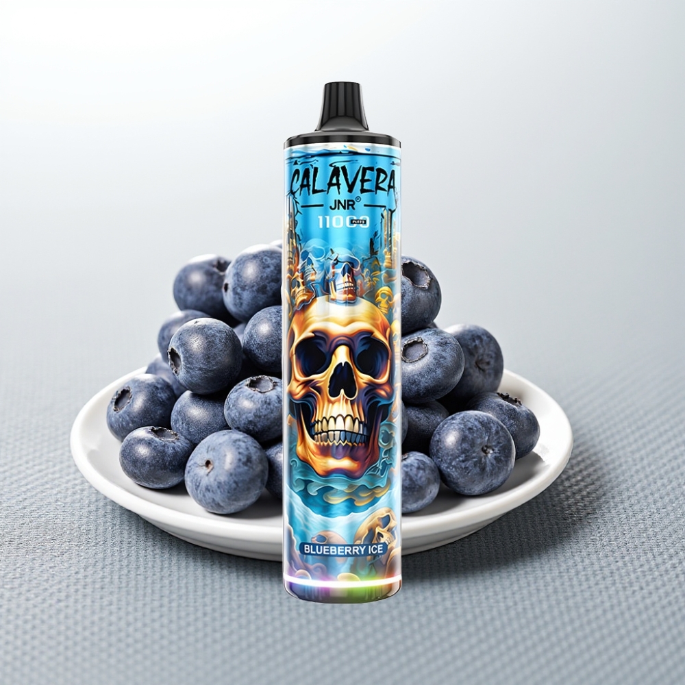 JNR Calavera 11000 Puffs Disposable Vape 21ml Блакитна Ягода з Ментолом Type-C