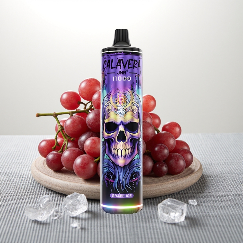 JNR Calavera 11000 Puffs Графітовий Лід Type-C 850mAh 21ml 1.0ohm Mesh