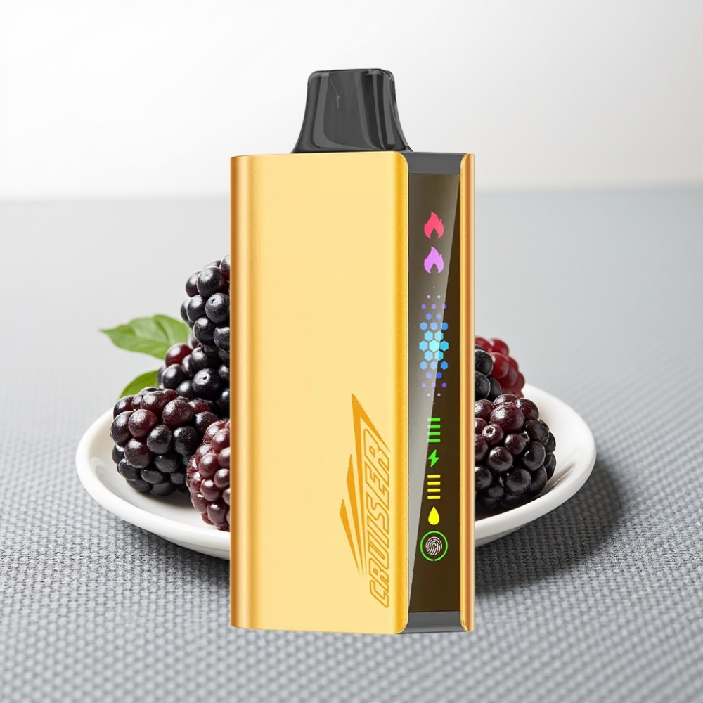 JNR Cruiser 12000 Puffs No-Charge Disposable Vape Чорниця Лід