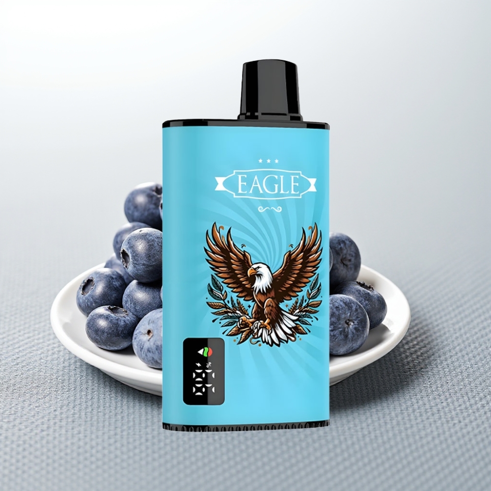 JNR EAGLE Smart 23000 Puffs Цифровий екран Регульований повітряпотік Чорниця Лід