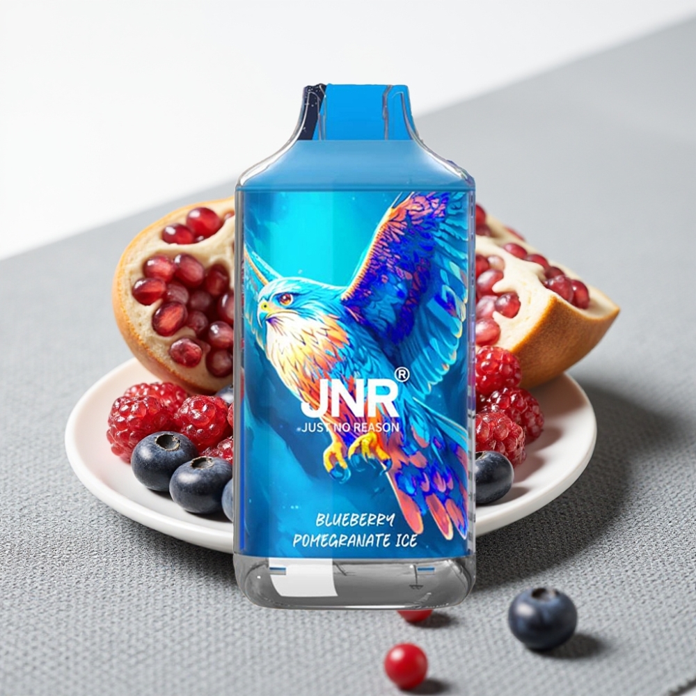 JNR Falcon 16000 Puffs 850mAh 22ml Dual Mesh Coil Синьоягода Гранат Лід