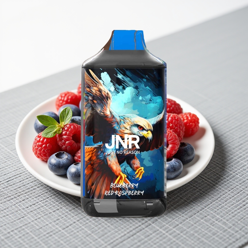 JNR Falcon 16000 Puffs 850mAh 22ml Dual Mesh Coil Червона Малина Блакитниця