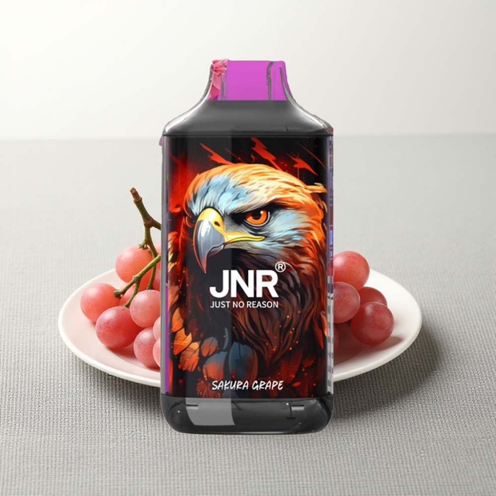 JNR Falcon 16000 Puffs Dual Mesh Coil Sakura Grape wholesale vape Ukraine