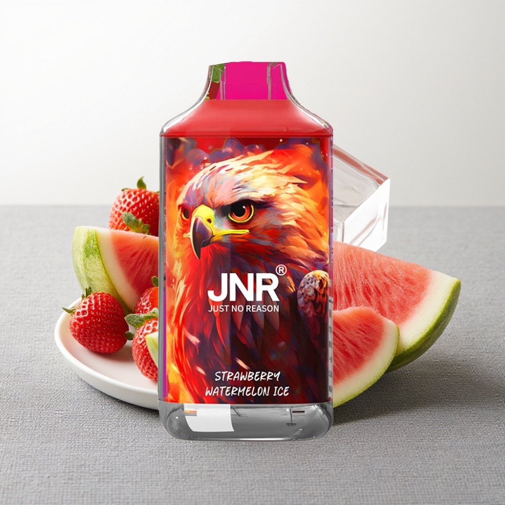 JNR Falcon 16000 Puffs Strawberry Watermelon Ice 850mAh 22ml Dual Mesh Coil