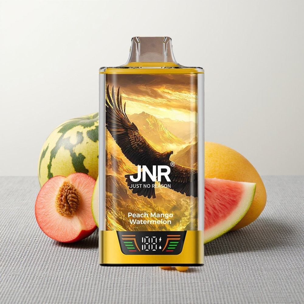 JNR Falcon Pro 28000 30мл 5% нікотину Персик Манго Кавун USB-C Dual Mesh