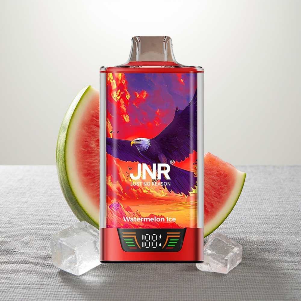 JNR Falcon Pro 28000 Кавун Лід Smart Display Dual Mesh USB-C