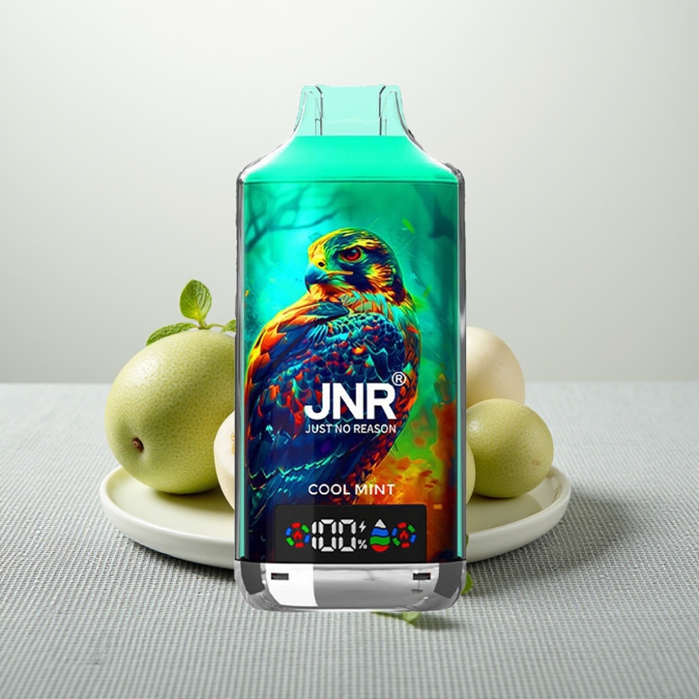 JNR Falcon X 18000 Puffs 24ml Dual Mesh Coil Прохолодна Мʼята