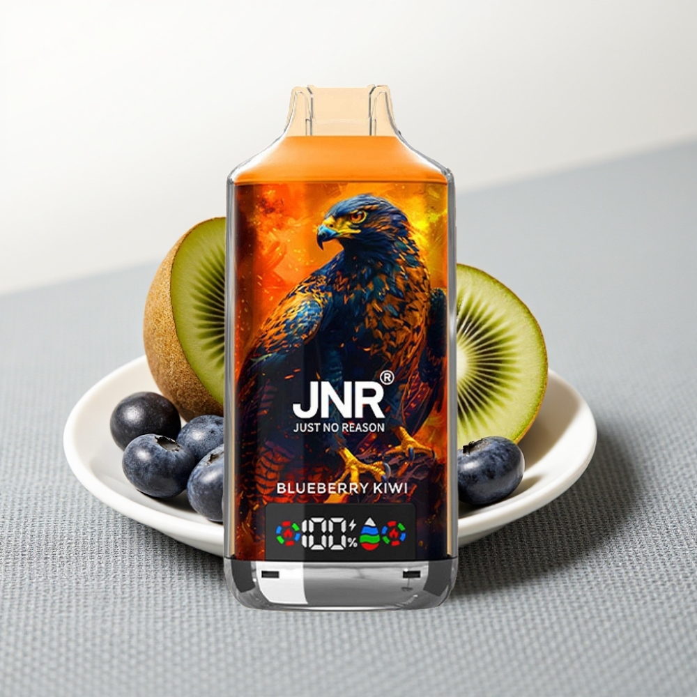 JNR Falcon X 18000 Puffs 24ml Dual Mesh Type-C Блакитна Ожина Киви