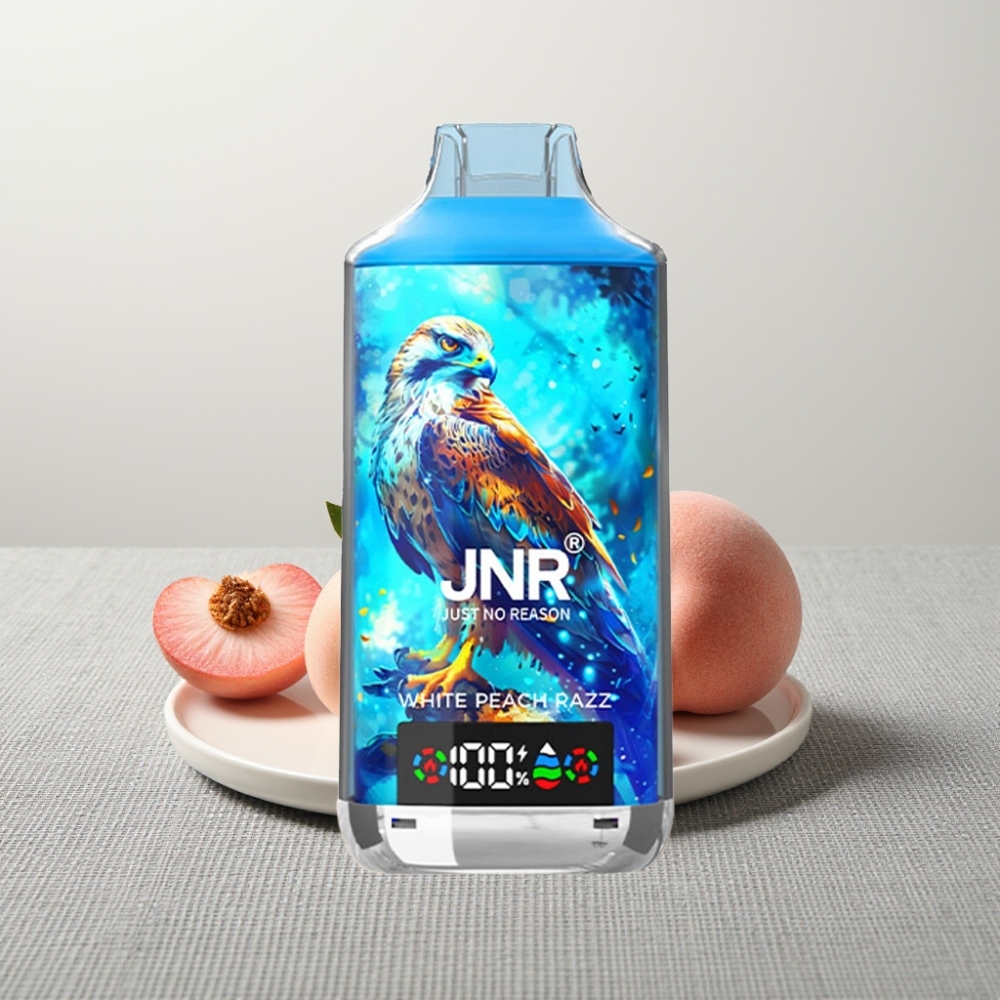 JNR Falcon X 18000 Puffs 24ml Білий Персик Малина Type-C Dual Mesh