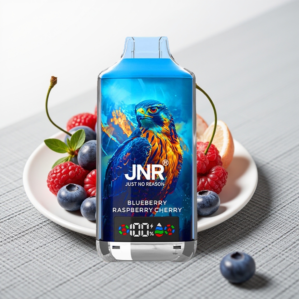 JNR Falcon X 18000 Puffs Dual Mesh Coil Type-C Digital Display Малина Черешня Блакитна