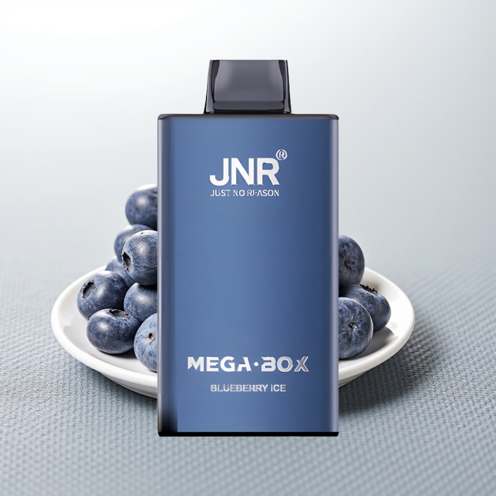 JNR Mega Box 25000 Puffs 30мл Тип-C Двоядерний Чорниця-Лід