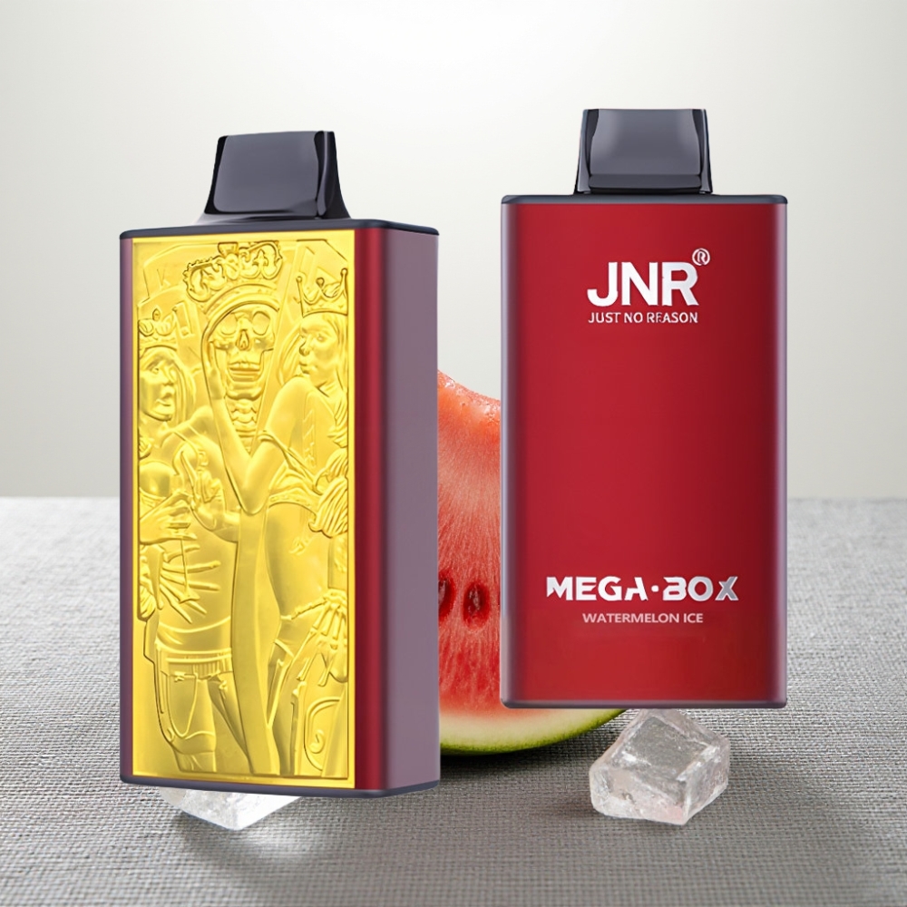 JNR Mega Box 25000 Puffs 30ml 850mAh Dual Mesh Type-C Кавун Лід