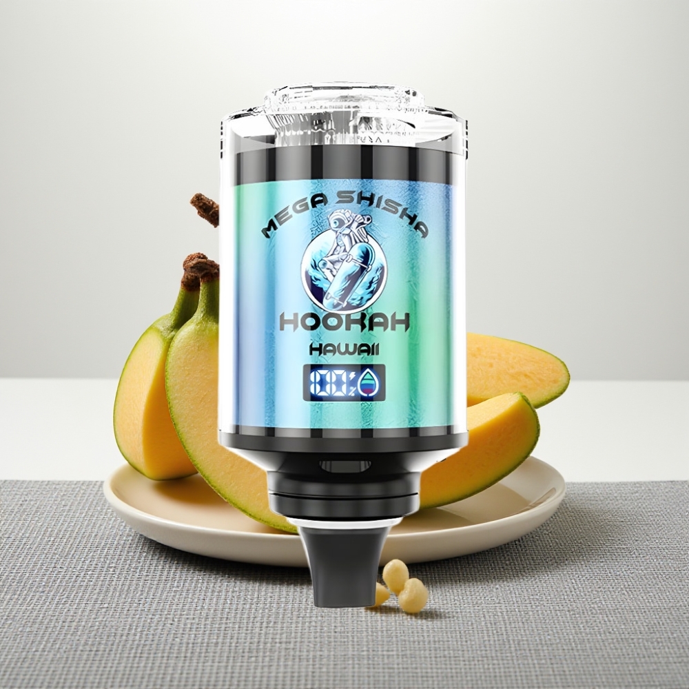 JNR Mega Shisha Hookah 100K Puffs 60ml 2200mAh Type-C