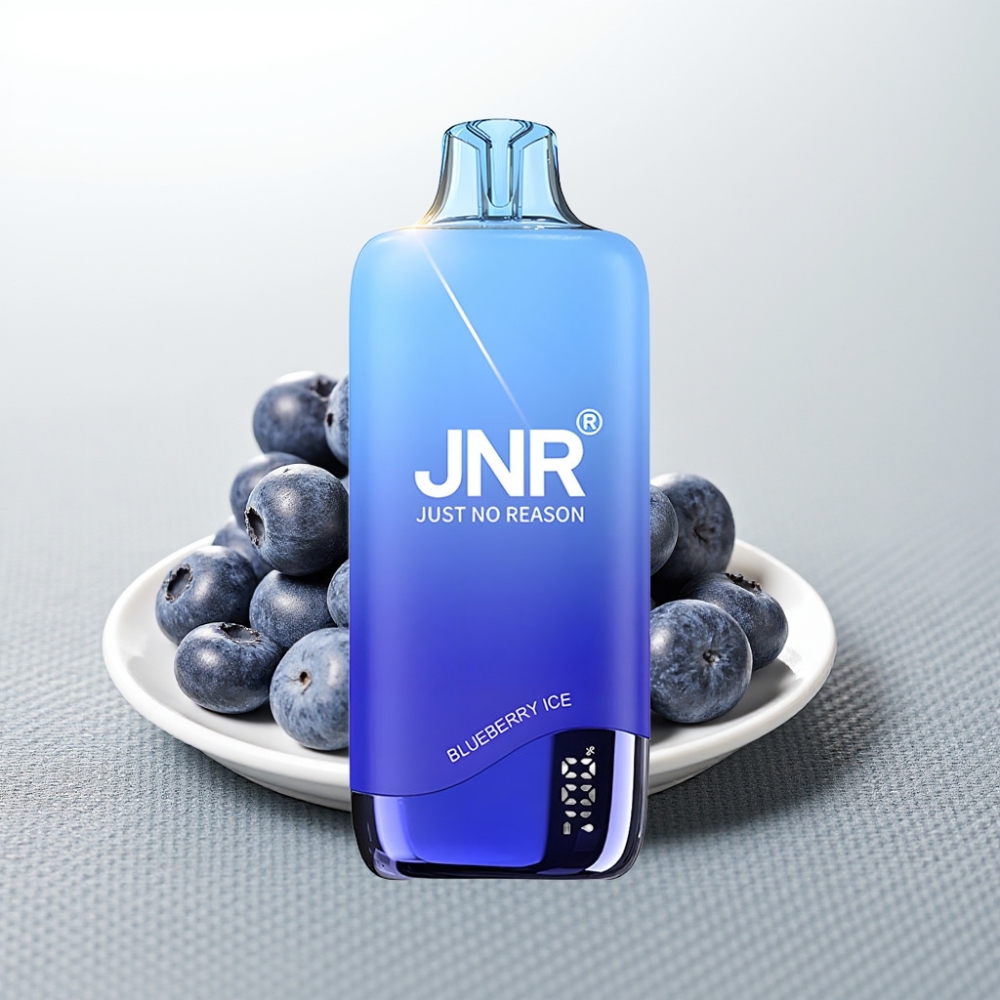 JNR Rainbow 10500 Puffs Disposable Vape Чорниця Лід 600mAh 18ml USB-C