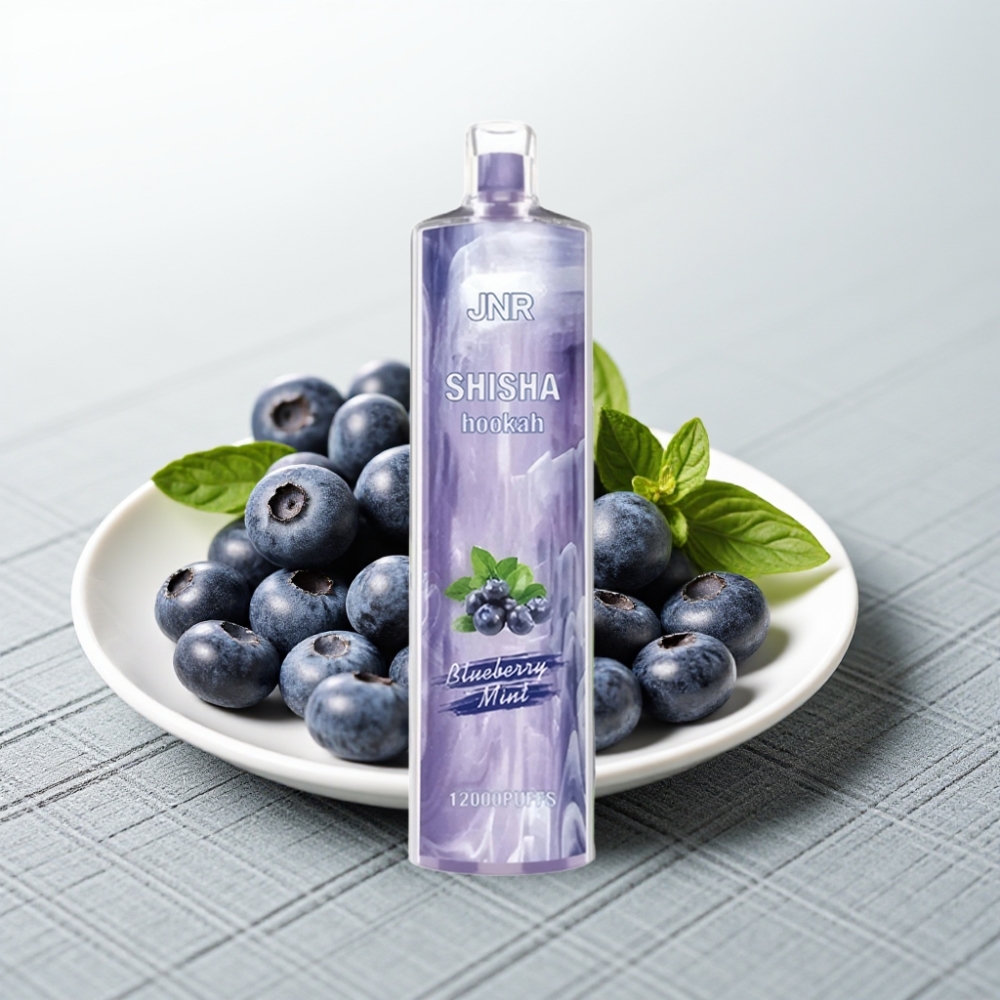 JNR Shisha Hookah 12000 Puffs 24ml 750mAh Blueberry Mint