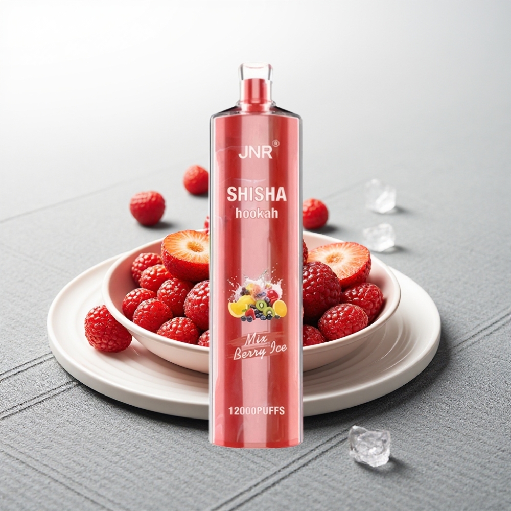 JNR Shisha Hookah 12000 Puffs 24ml Berry Ice 750mAh Type-C