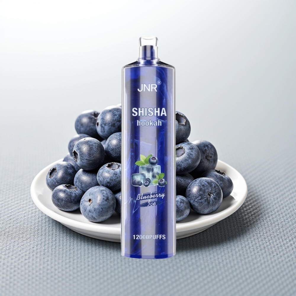 JNR Shisha Hookah 12000 Puffs 24ml Blueberry Ice Type-C