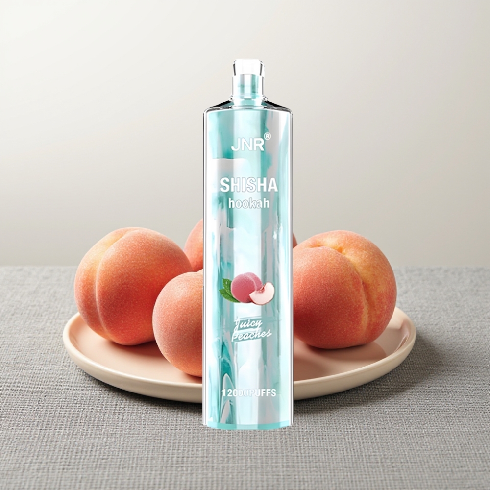 JNR Shisha Hookah 12000 Puffs 24ml Juicy Peaches wholesale vape Ukraine