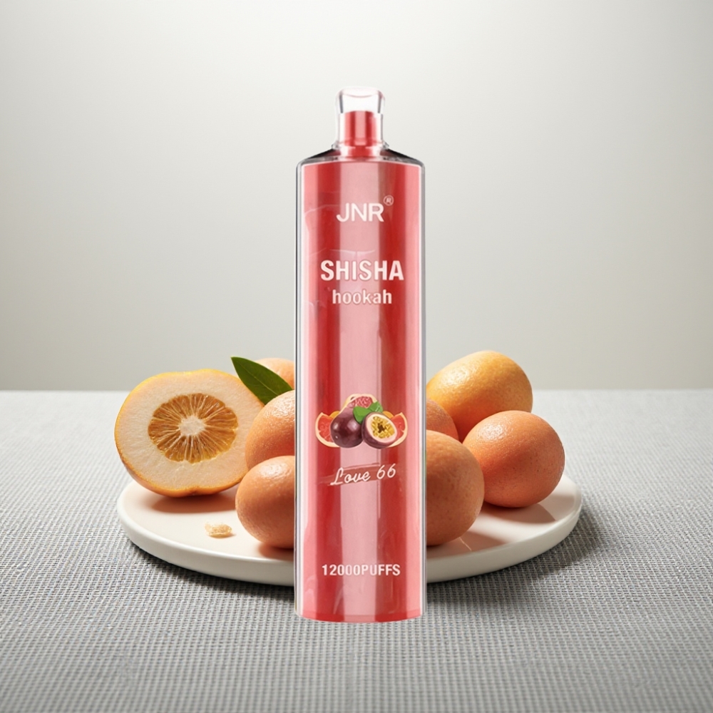 JNR Shisha Hookah 12000 Puffs 24ml Love 66 Type-C Fast Charging