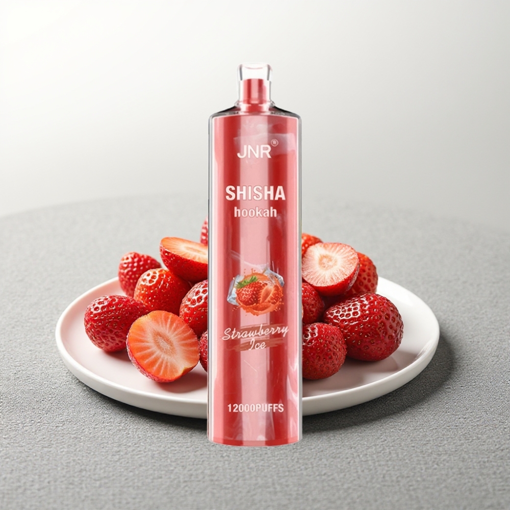JNR Shisha Hookah 12000 Puffs 24ml Strawberry Ice Type-C Fast Charging
