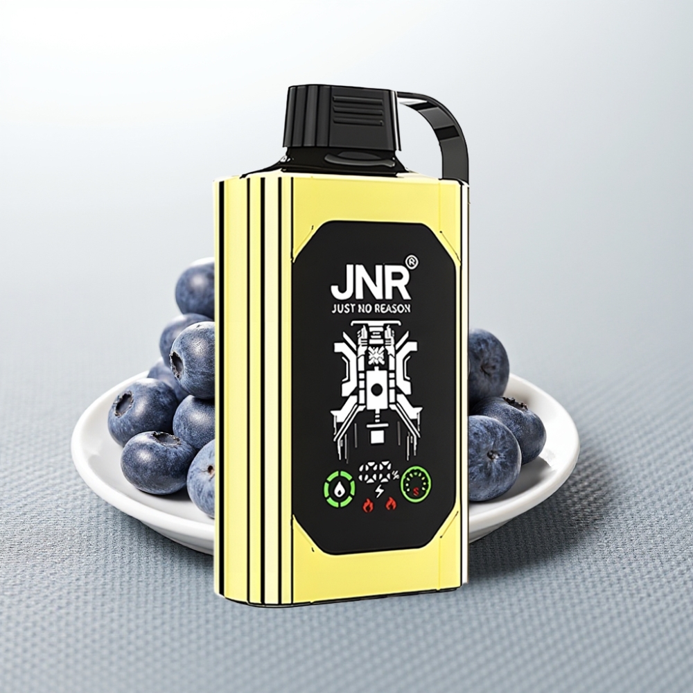 JNR Shisha Hookah Box 20500 Puffs Blueberry Ice HD Display 1000mAh Type-C