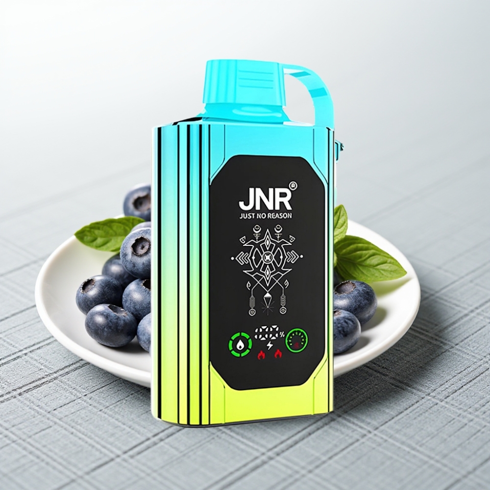 JNR Shisha Hookah Box 20500 Puffs HD Display 25ml Blueberry Mint Type-C