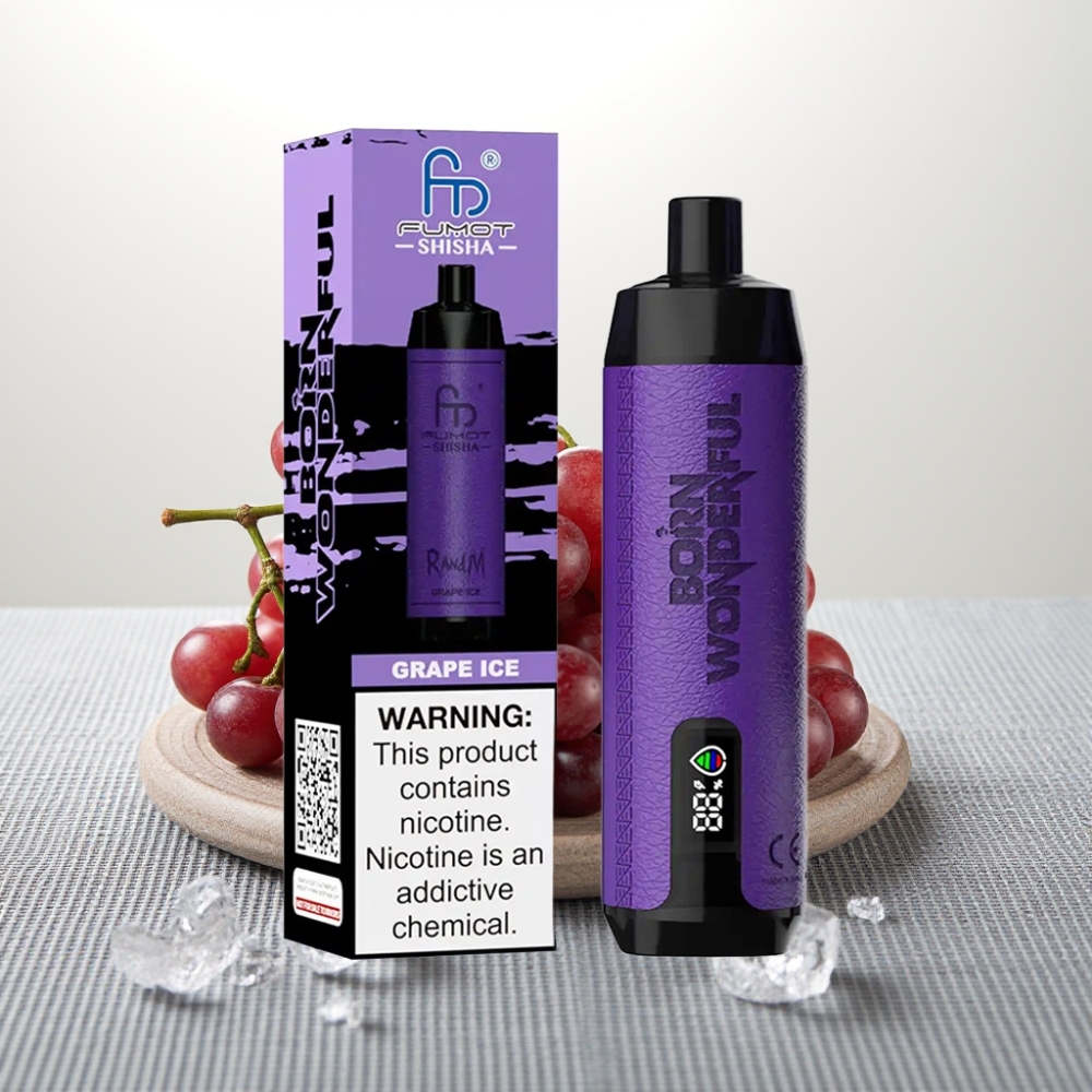 RandM Fumot Shisha 10000 Puffs 18ml Grape Ice 850mAh Type-C
