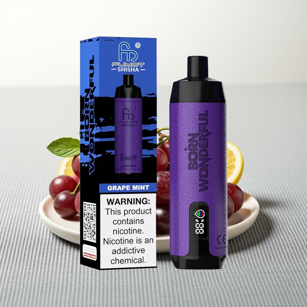 RandM Fumot Shisha 10000 Puffs 18ml Grape Mint 0.5% Nicotine Type-C
