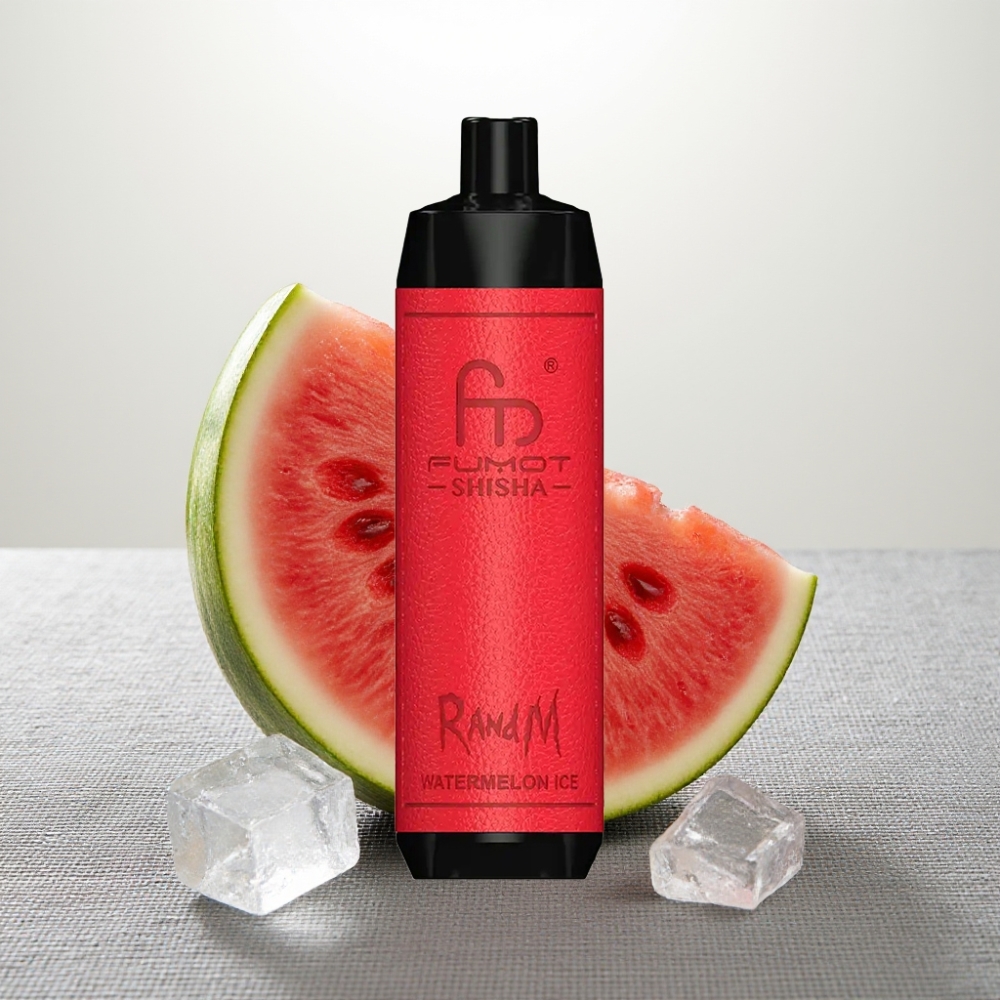 RandM Fumot Shisha 10000 Puffs LED Indicator Watermelon Ice Type-C Port