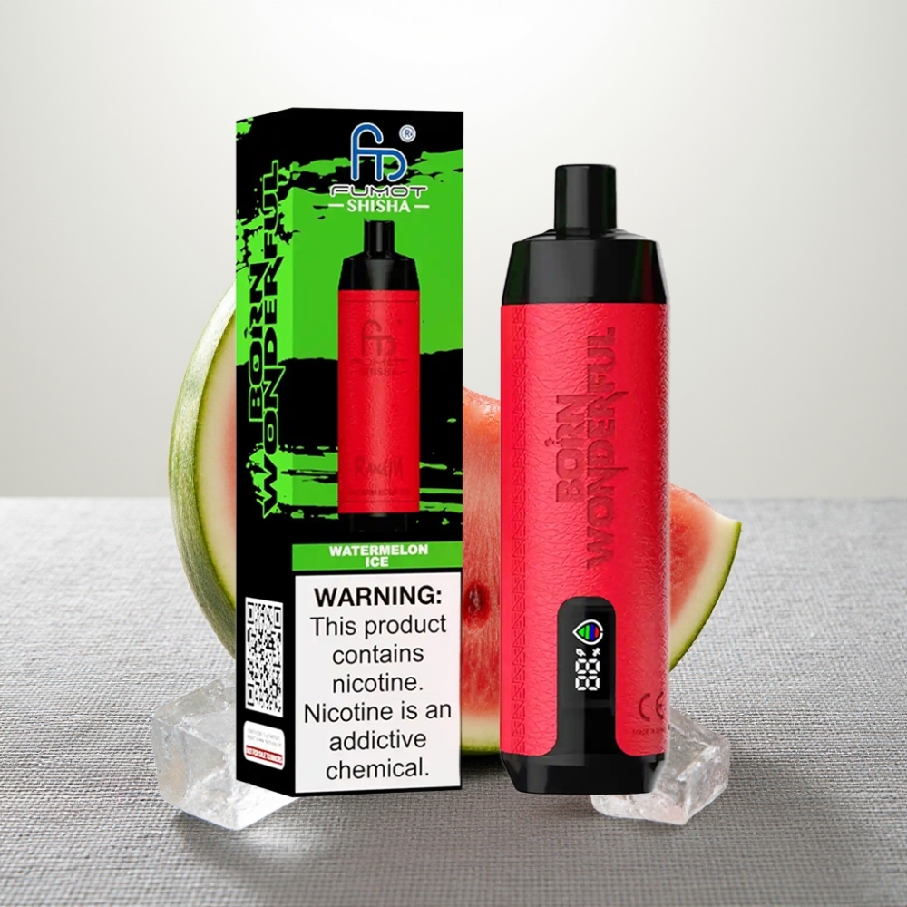 RandM Fumot Shisha 10000 Puffs LED Indicator Watermelon Ice Type-C Port